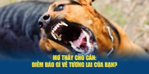 Mơ Chó Cắn - Điềm Báo Gì Về Tương Lai Của Người Mộng?