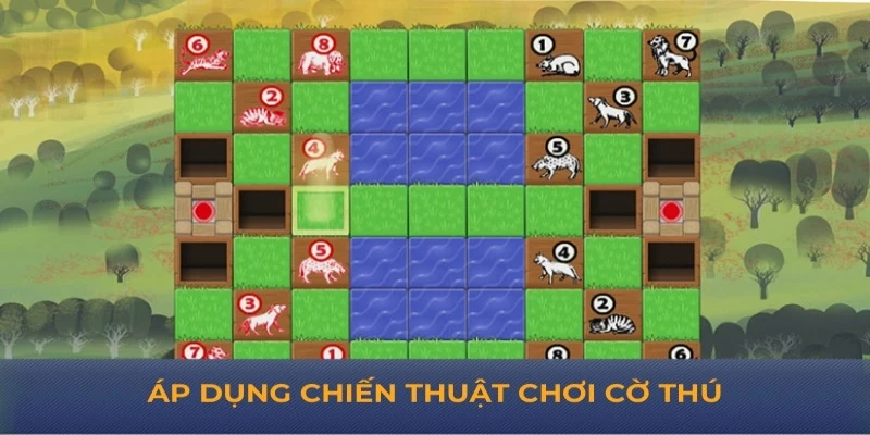 Áp dụng chiến thuật chơi cờ thú