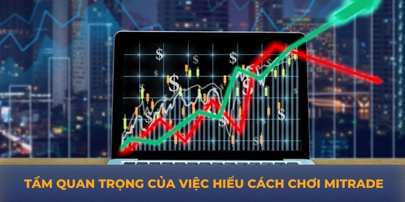 Tầm quan trọng của việc hiểu cách chơi mitrade